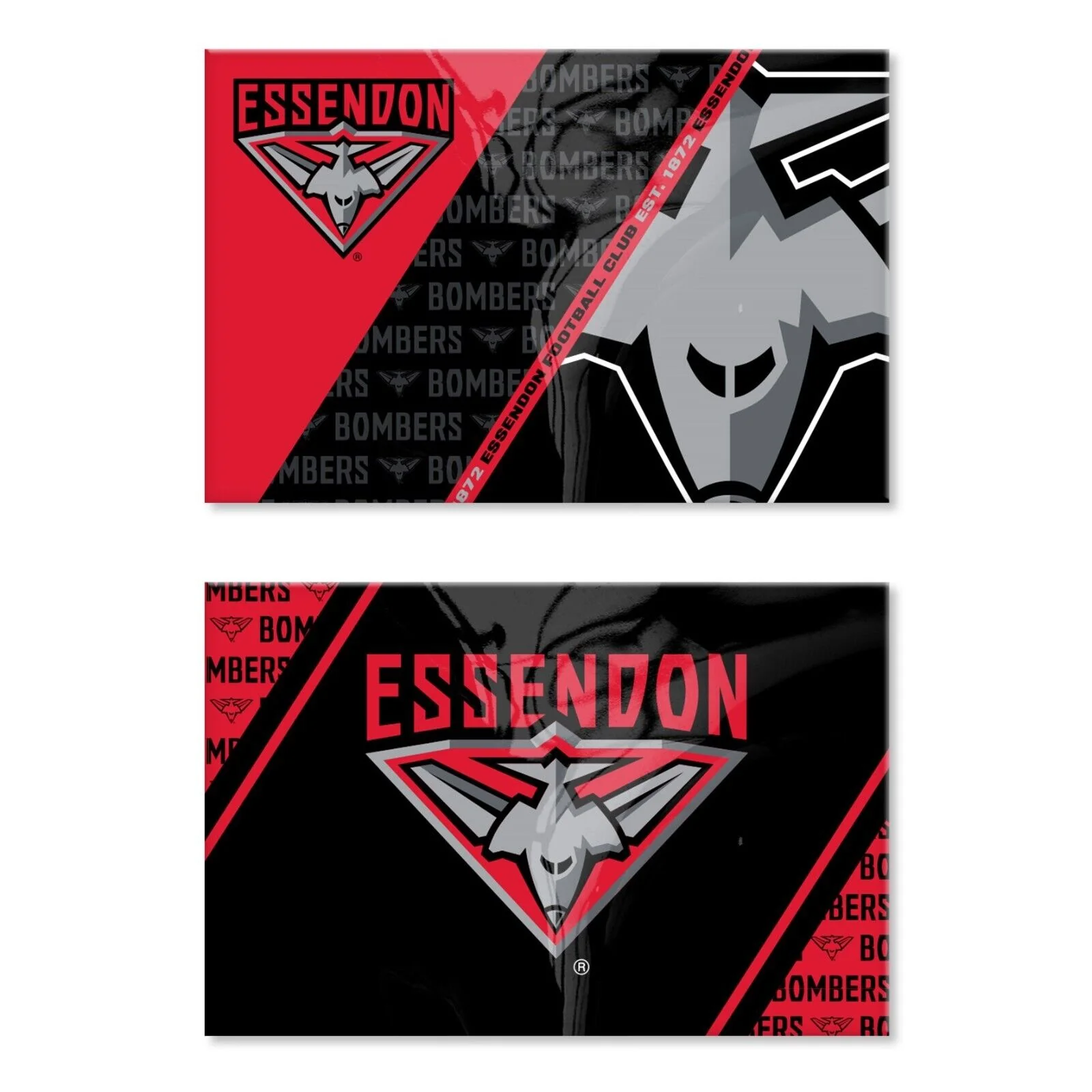 AFL Magnet Set of 2 - Essendon Bombers - Set of Two Magnets - Image 2
