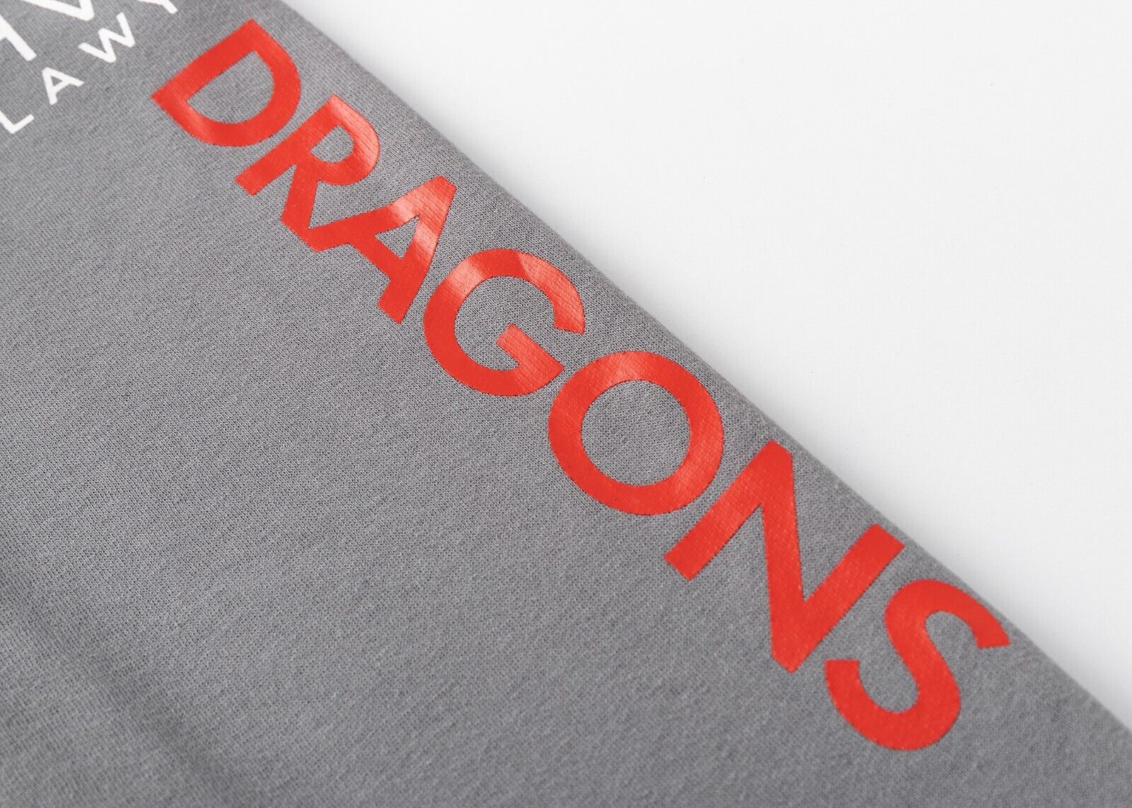 NRL 2025 Pullover Hoodie - St George Illawarra Dragons - Youth - Kids - Image 4