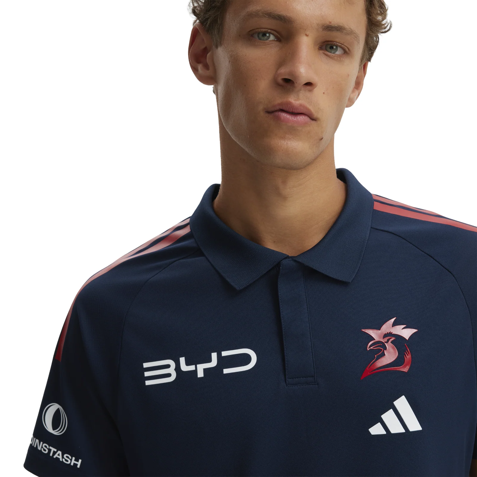 NRL 2026 Media Polo - Sydney Roosters - Adult - Mens - Image 4
