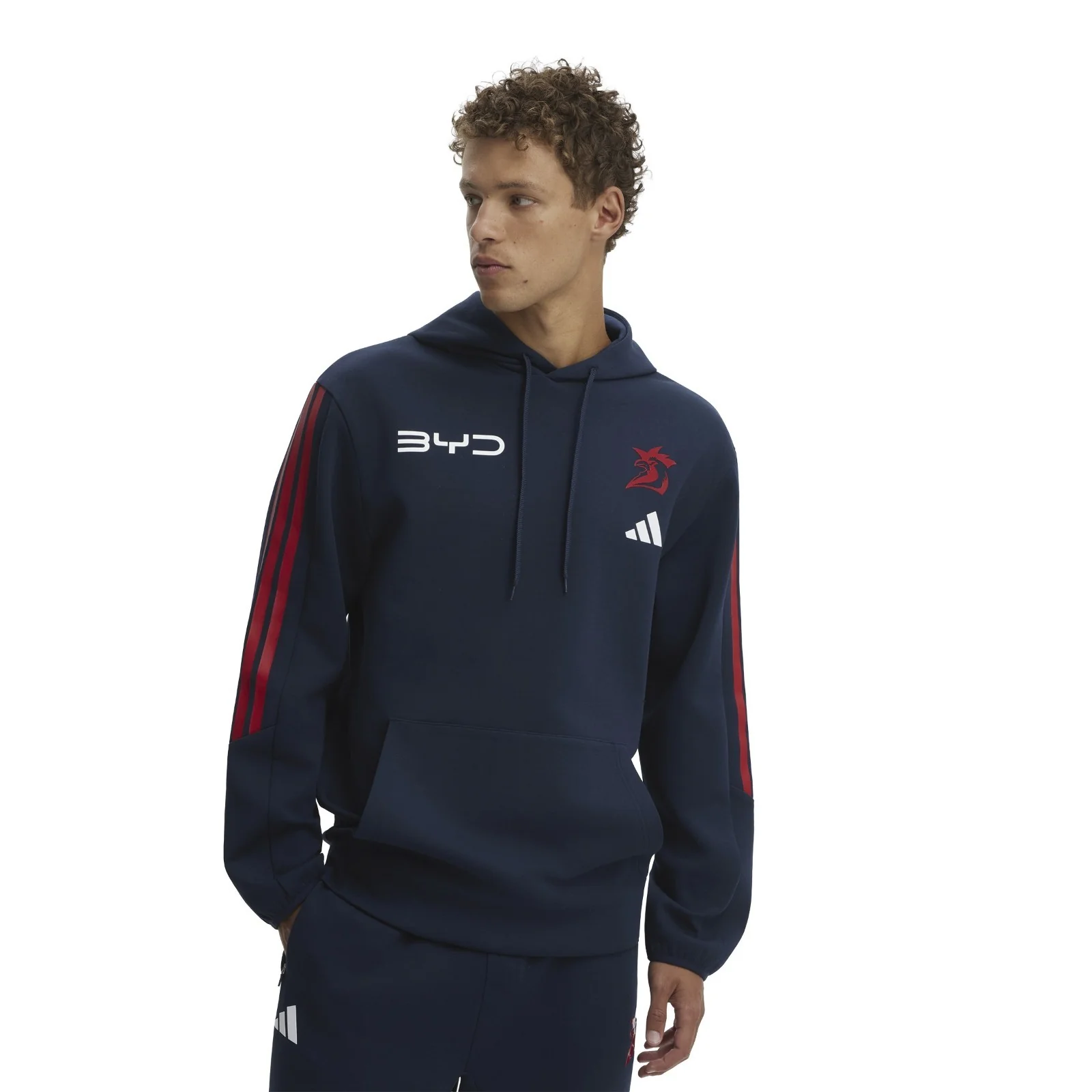 NRL 2026 Team Hoodie - Sydney Roosters - Adult - Mens - Jumper - Image 3