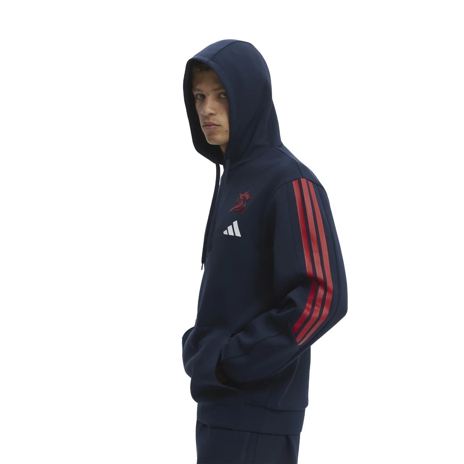 NRL 2026 Team Hoodie - Sydney Roosters - Adult - Mens - Jumper - Image 7