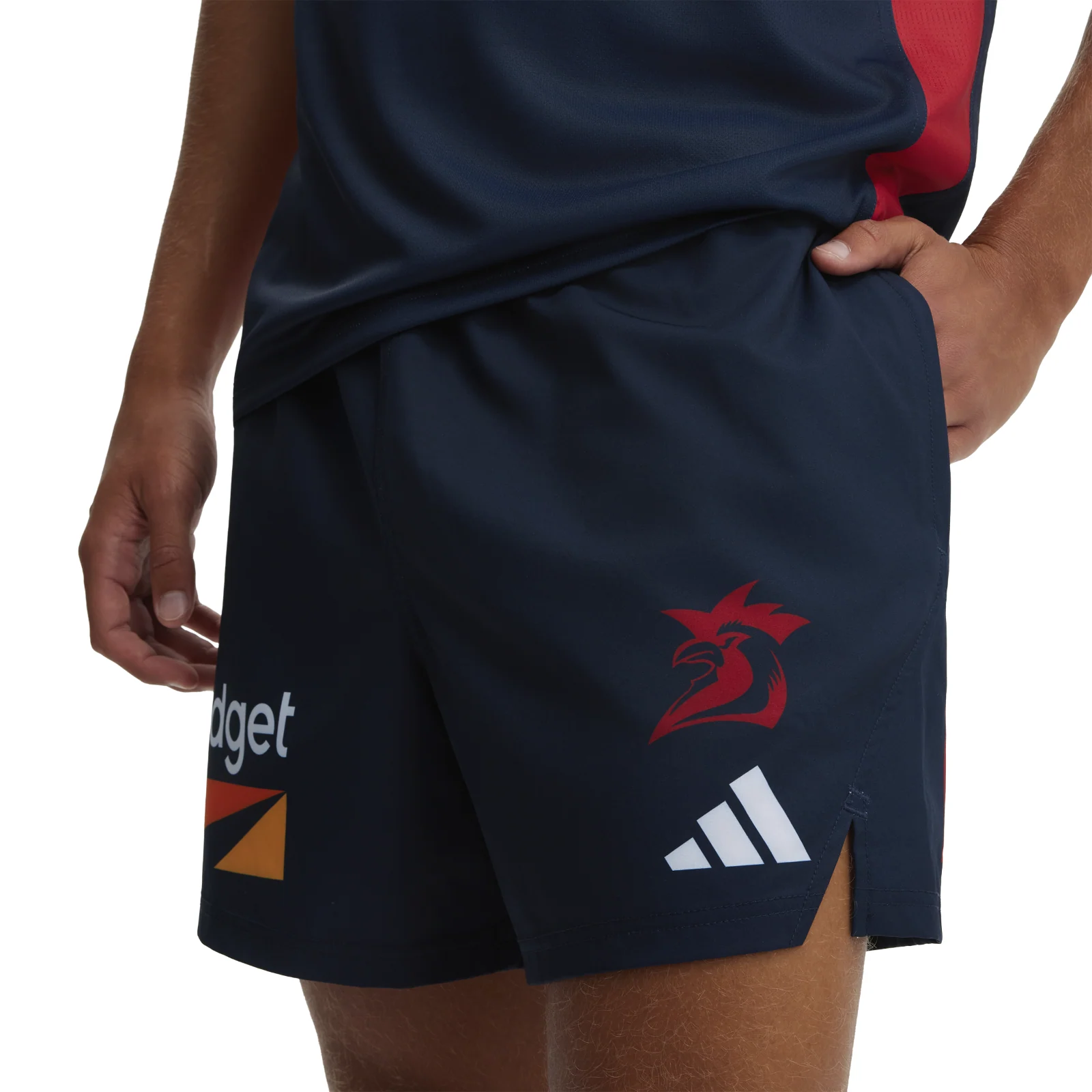 NRL 2026 Training Shorts - Sydney Roosters - Adult - Mens - Image 4