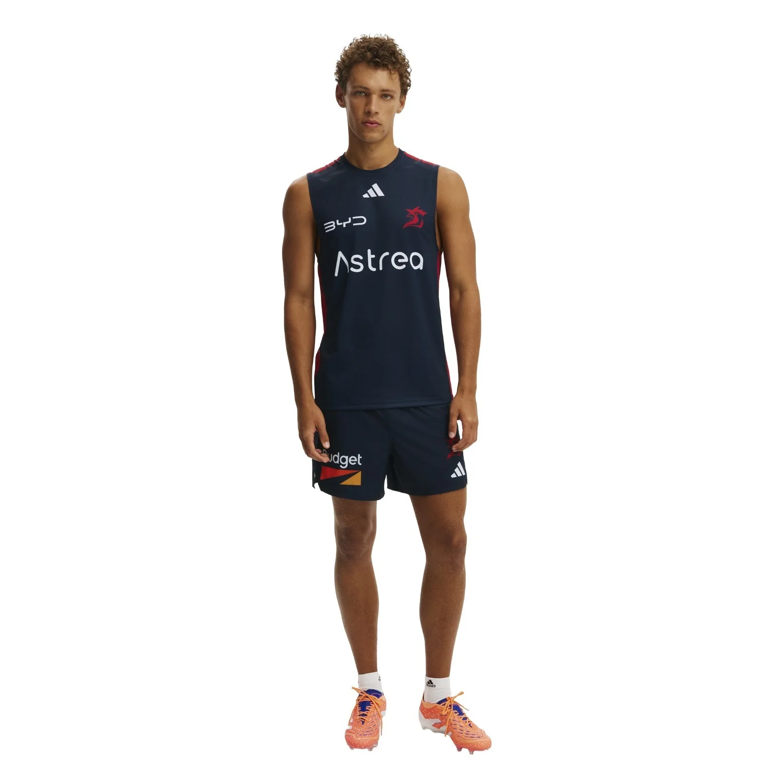 NRL 2026 Training Singlet - Sydney Roosters - Adult - Mens