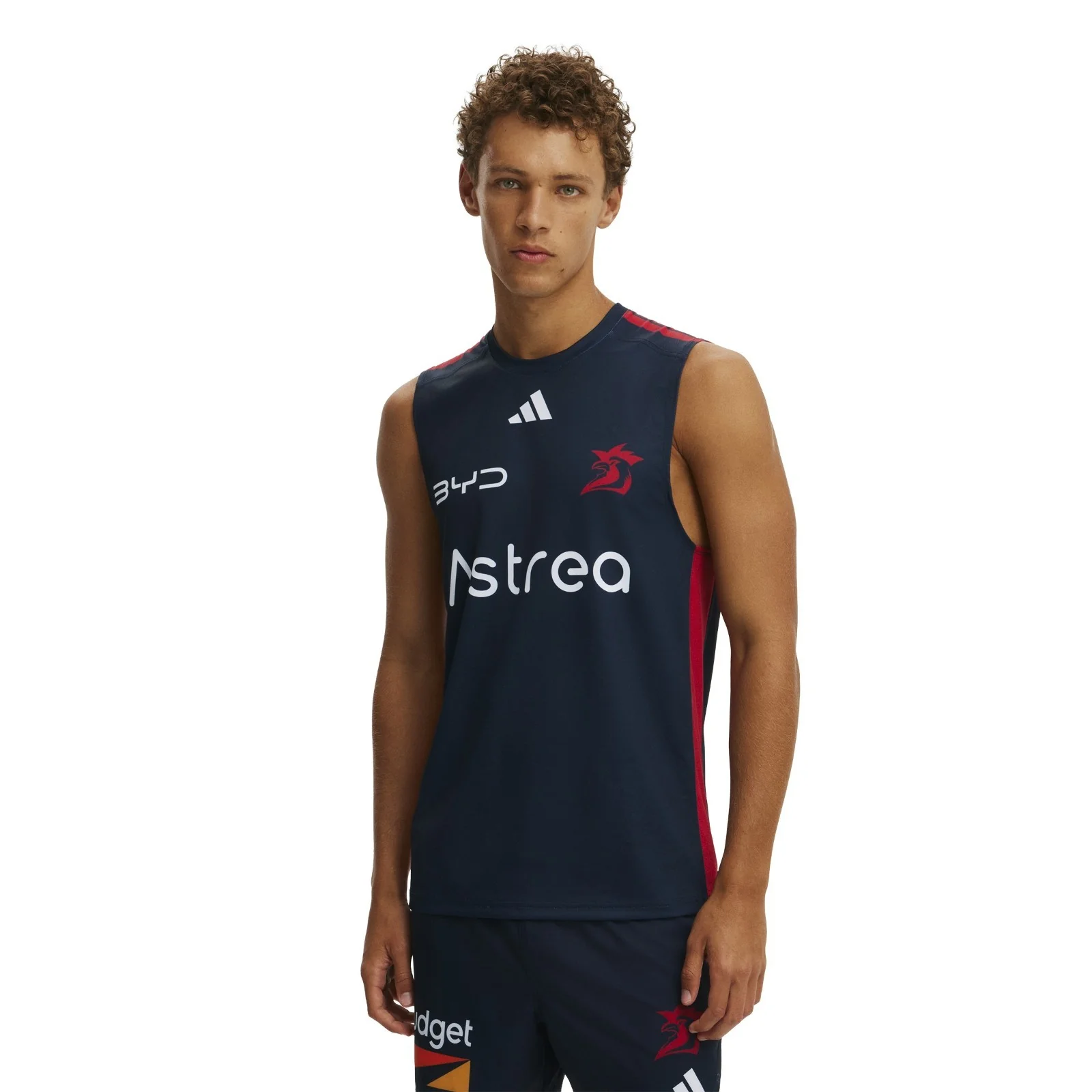 NRL 2026 Training Singlet - Sydney Roosters - Adult - Mens - Image 2
