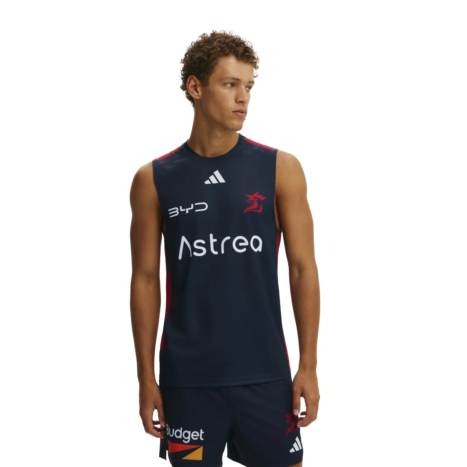 NRL 2026 Training Singlet - Sydney Roosters - Adult - Mens - Image 3