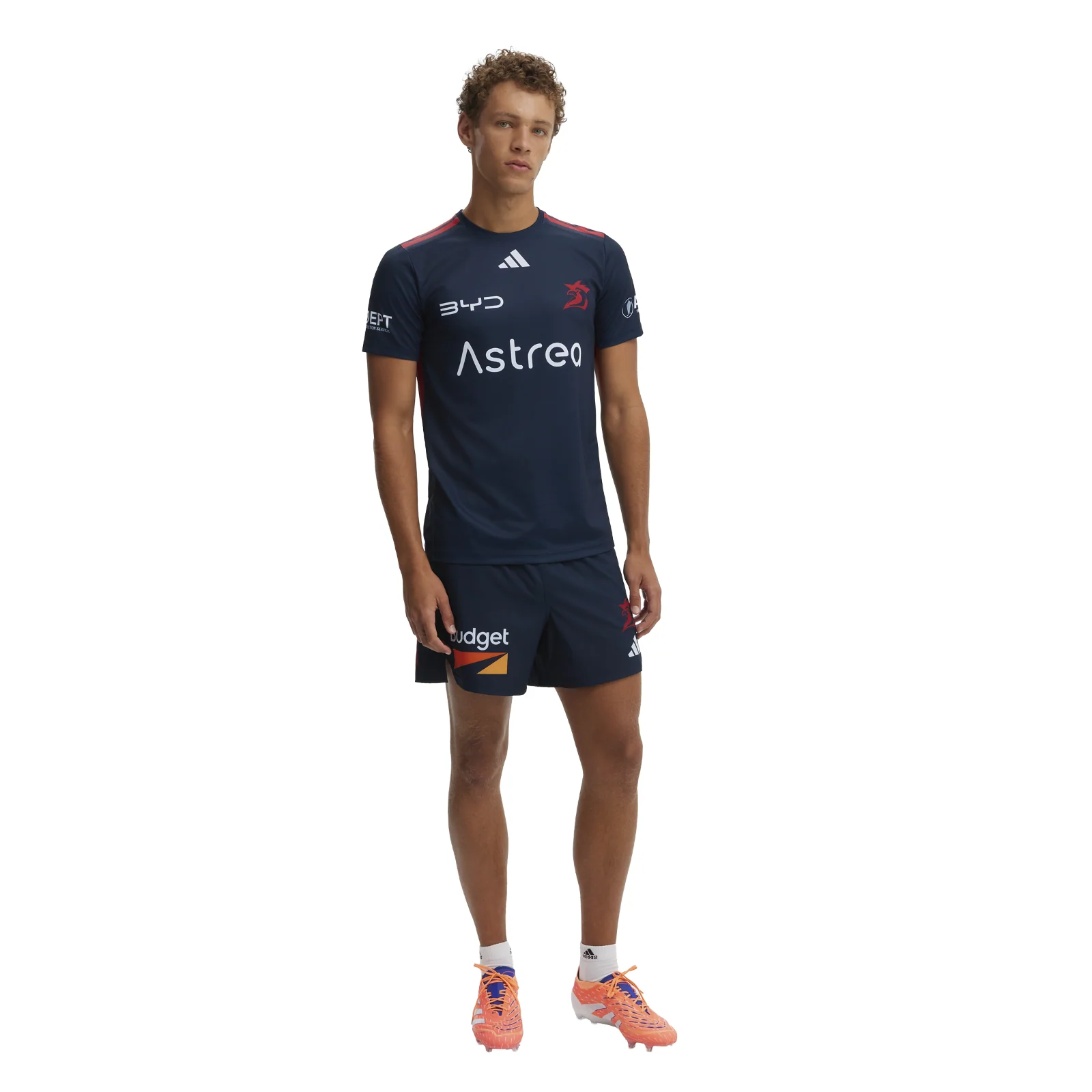 NRL 2026 Training Tee - Sydney Roosters - Adult - Mens