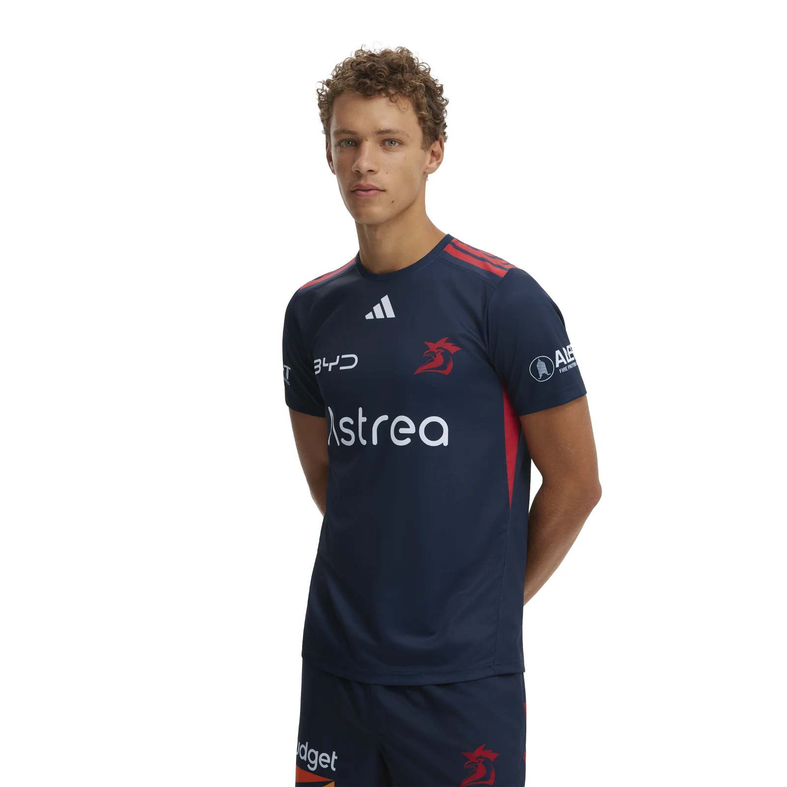 NRL 2026 Training Tee - Sydney Roosters - Adult - Mens - Image 2