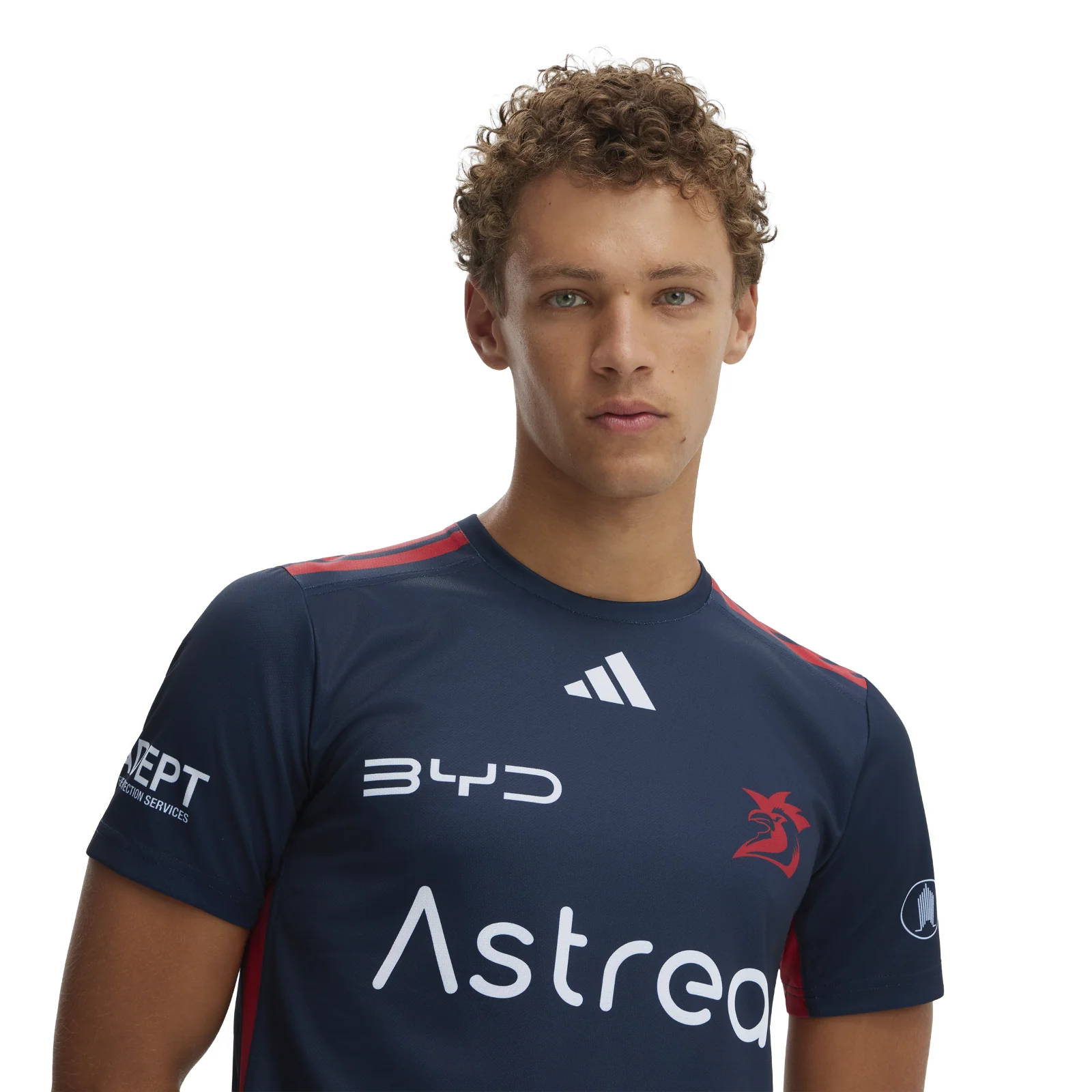 NRL 2026 Training Tee - Sydney Roosters - Adult - Mens - Image 4