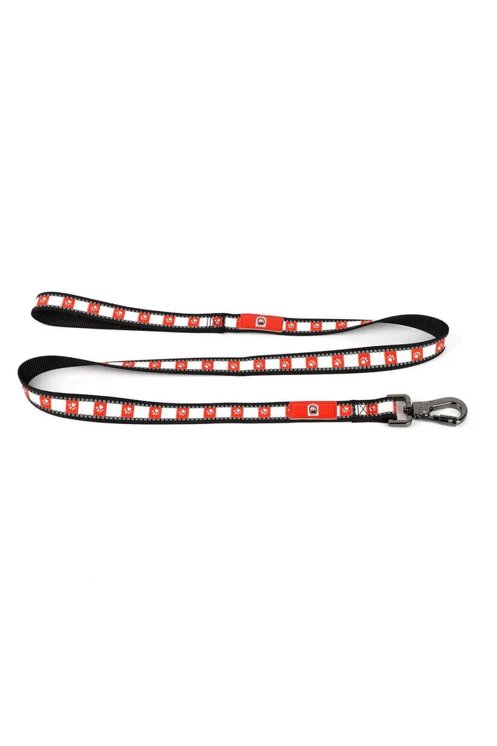 NRL Pet Lead Leash - St George Illawarra Dragons - 120CM - Lock Clip Durable - Image 2
